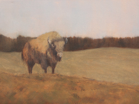 Buffalo, 01, 12x16"